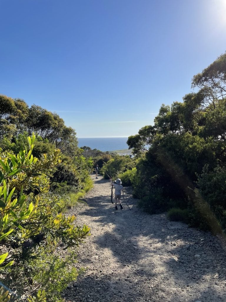 Visit Moonee Beach near Catherine Hill Bay for a Coastal Paradise