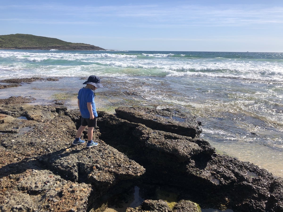 Visit Moonee Beach near Catherine Hill Bay for a Coastal Paradise