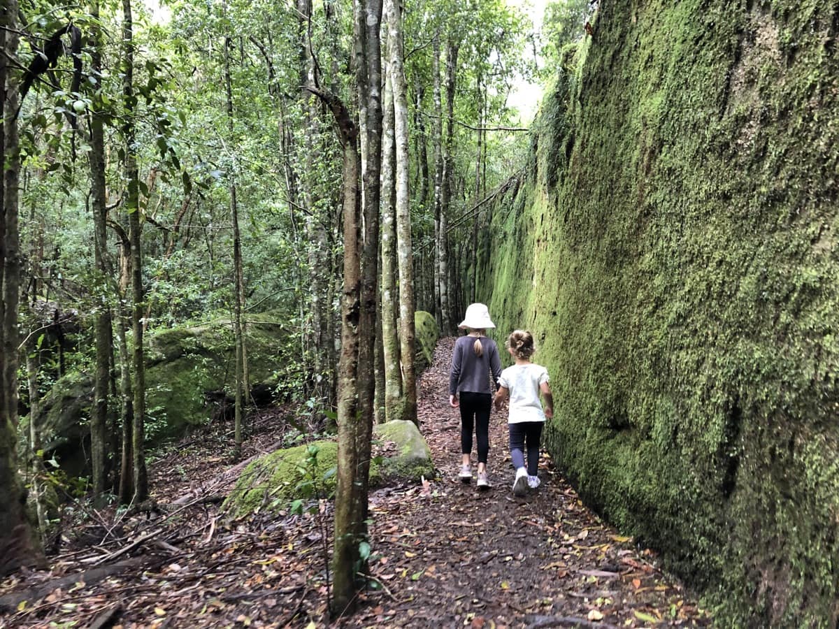 Boarding House Dam Moss Wall