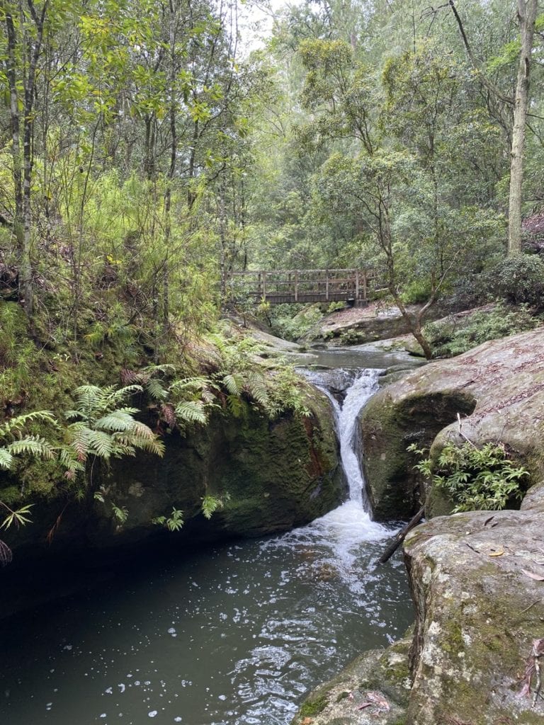 Boarding House Dam Walk Watagans