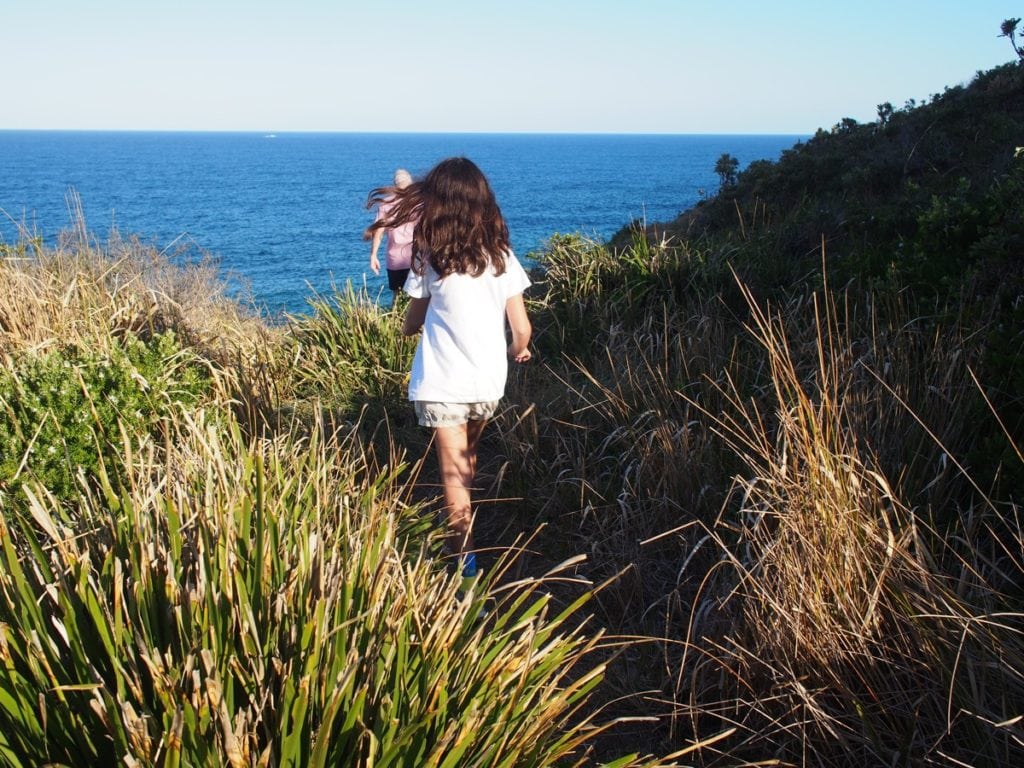 Treachery Beach Headland Walk Seal Rocks