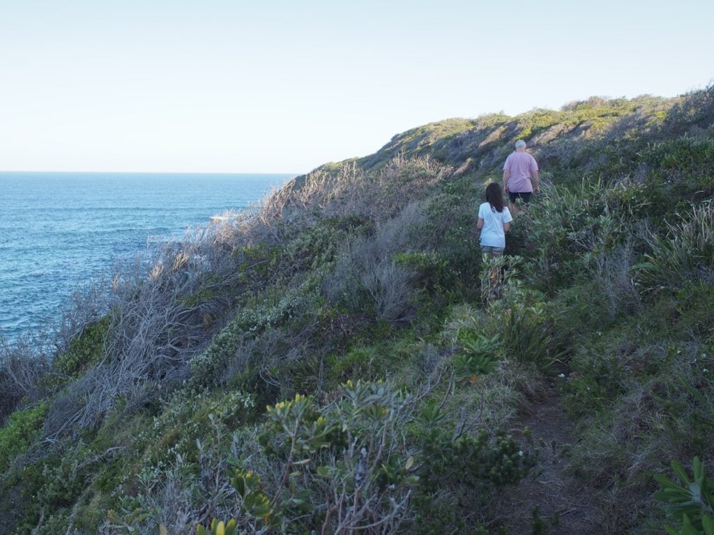 Treachery Beach Headland Walk Seal Rocks