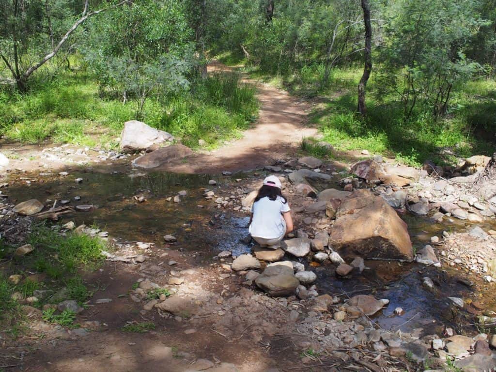 Burbie Canyon Warrumbungles