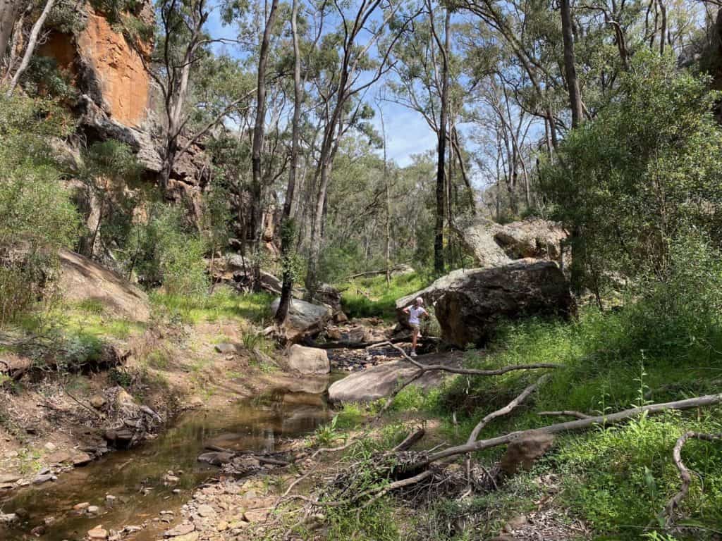 Burbie Canyon Warrumbungles