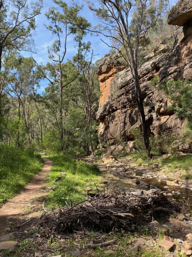 Burbie Canyon Warrumbungles