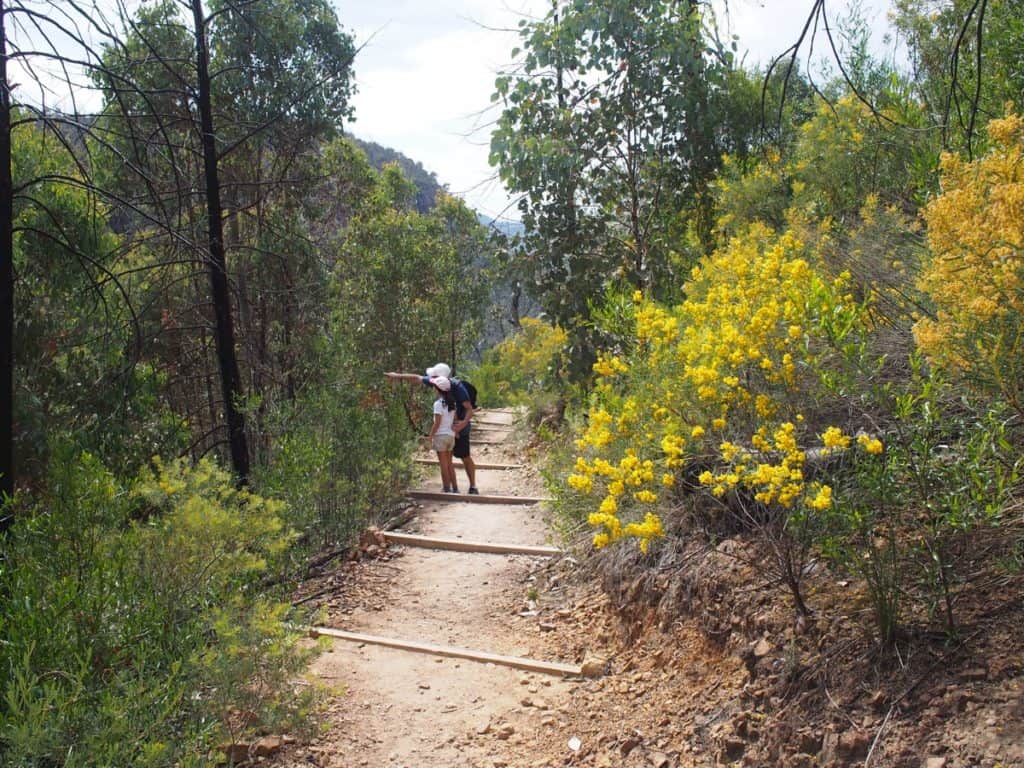Fans Horizon Walking Track