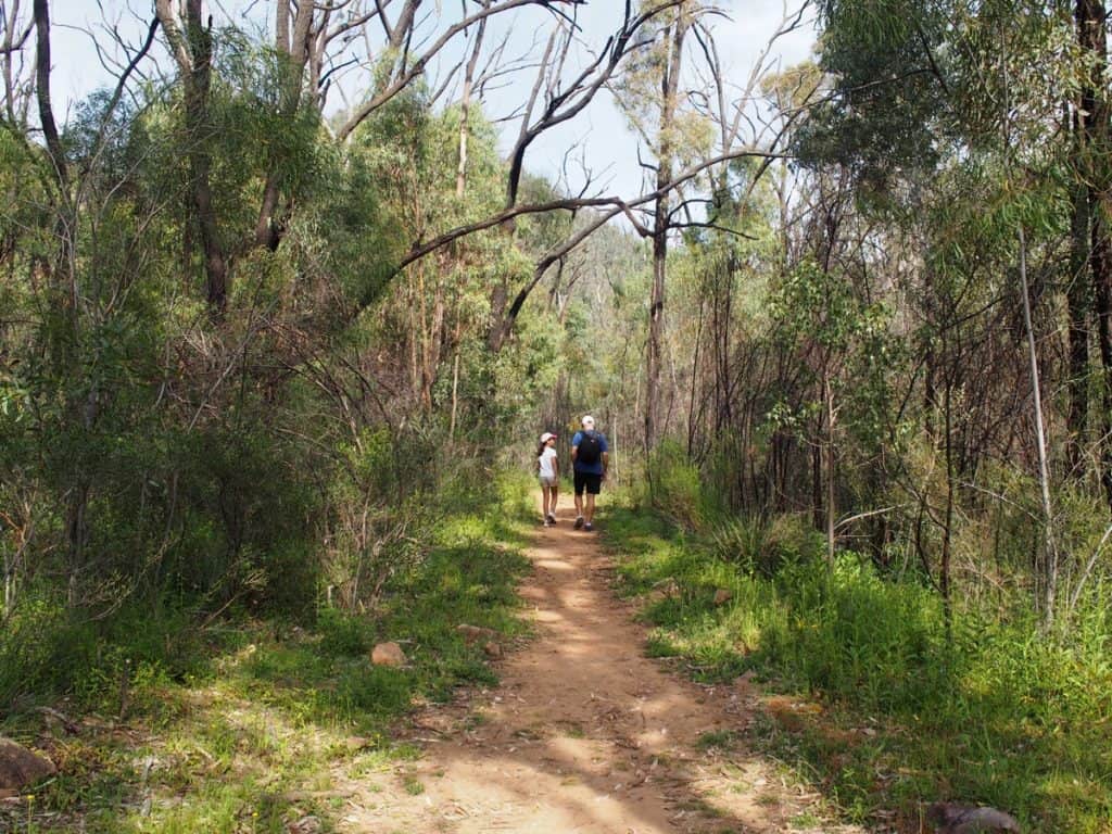 Fans Horizon Walking Track