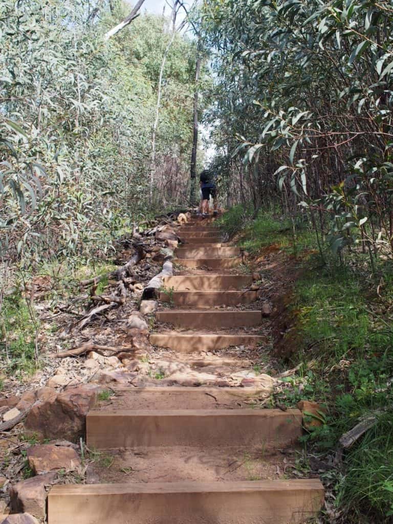 Fans Horizon Walking Track