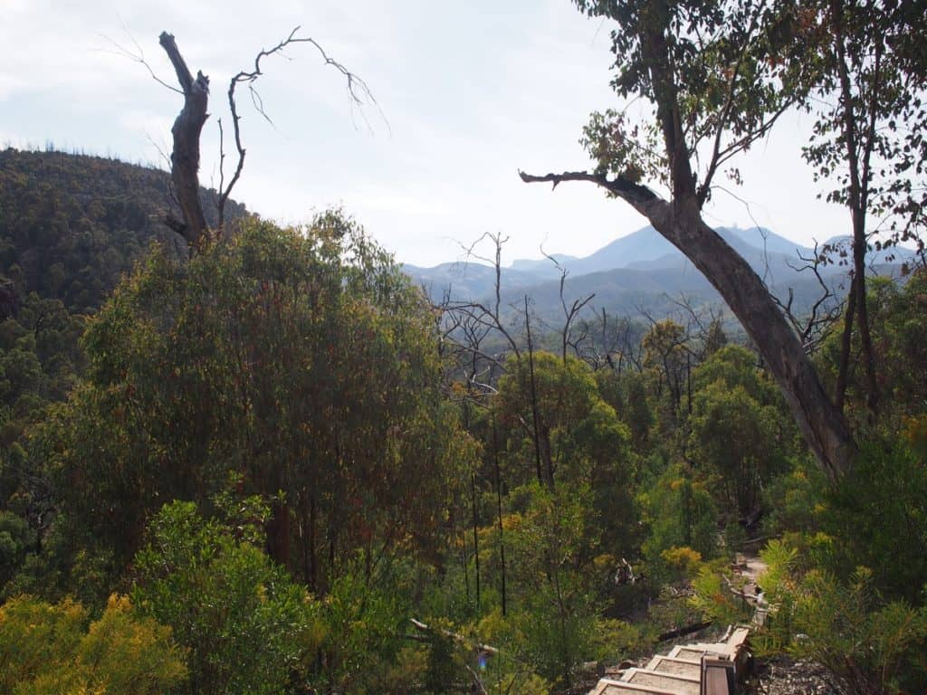 Fans Horizon Walking Track