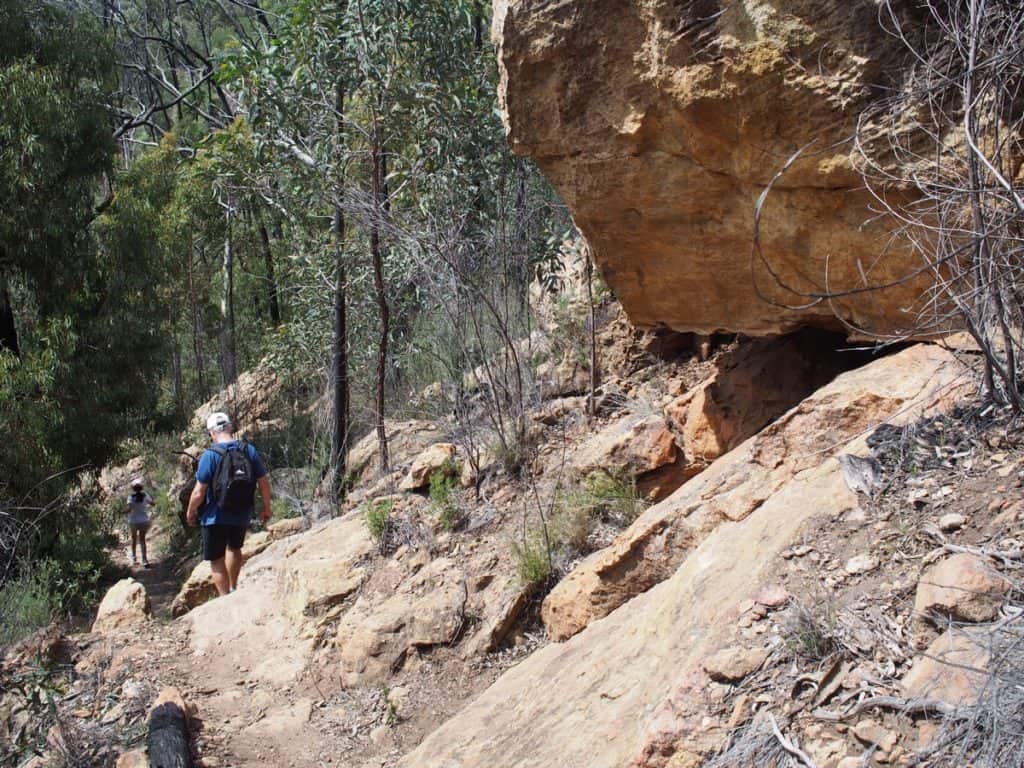 Fans Horizon Walking Track
