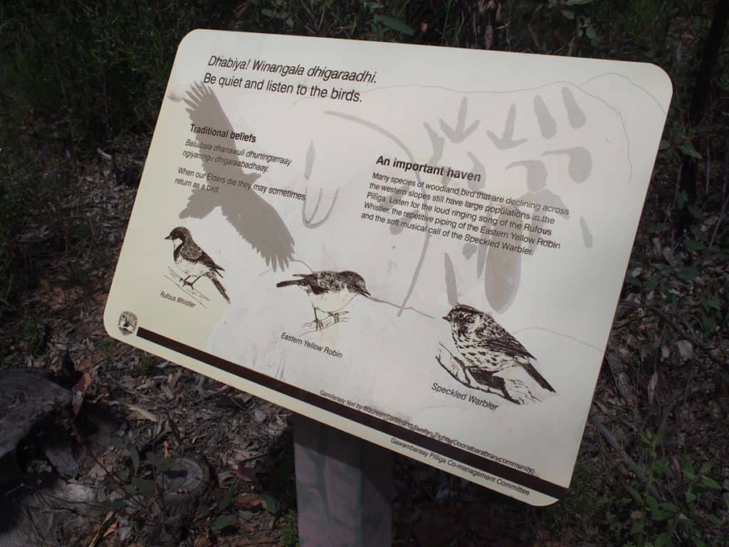 Sandstone Caves Pilliga