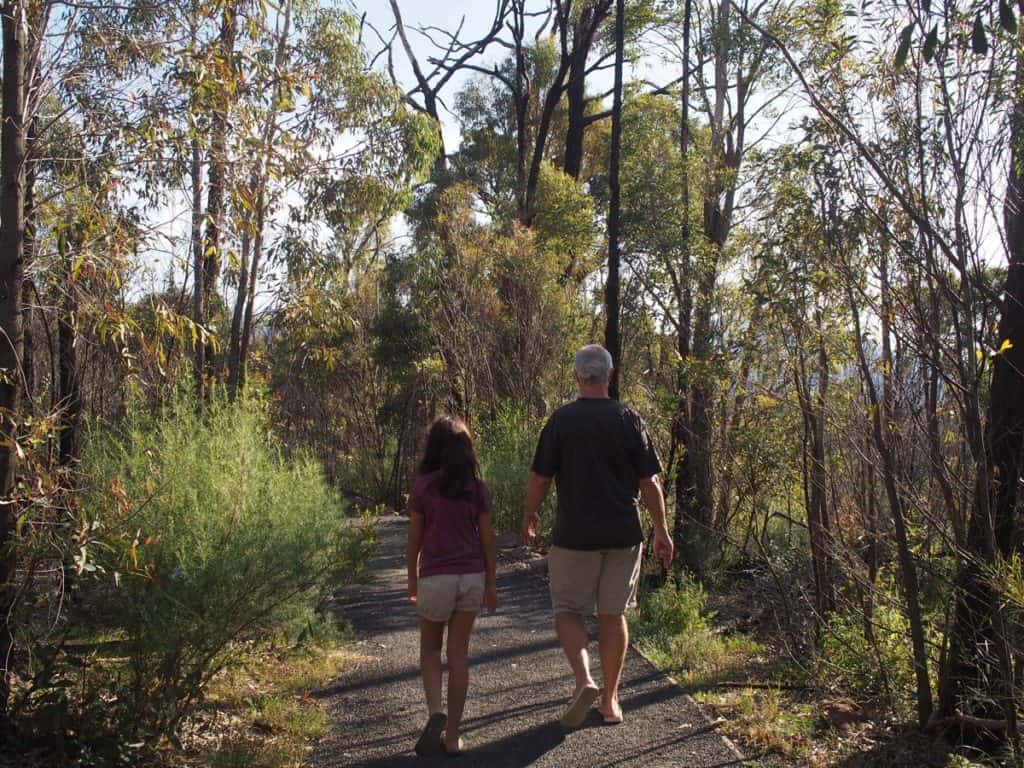 Whitegum Lookout