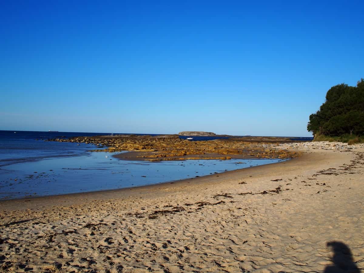 Best Picnic Spots in Lake Macquarie to Meet Up With Friends Newy with