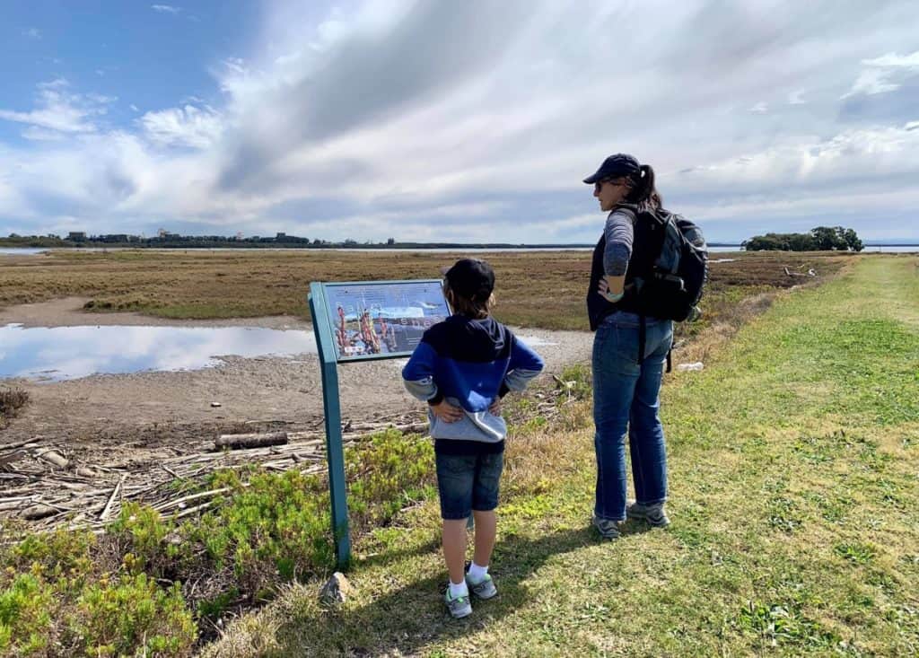 Stockton Bridge Walk