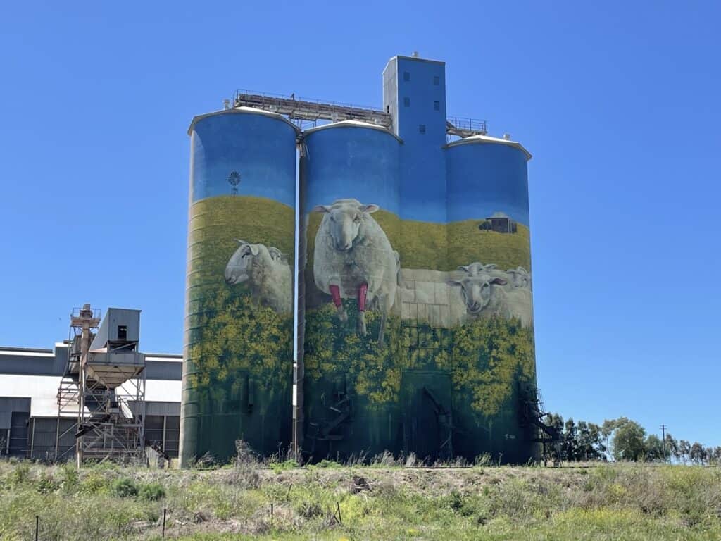 Merriwa Silo Art