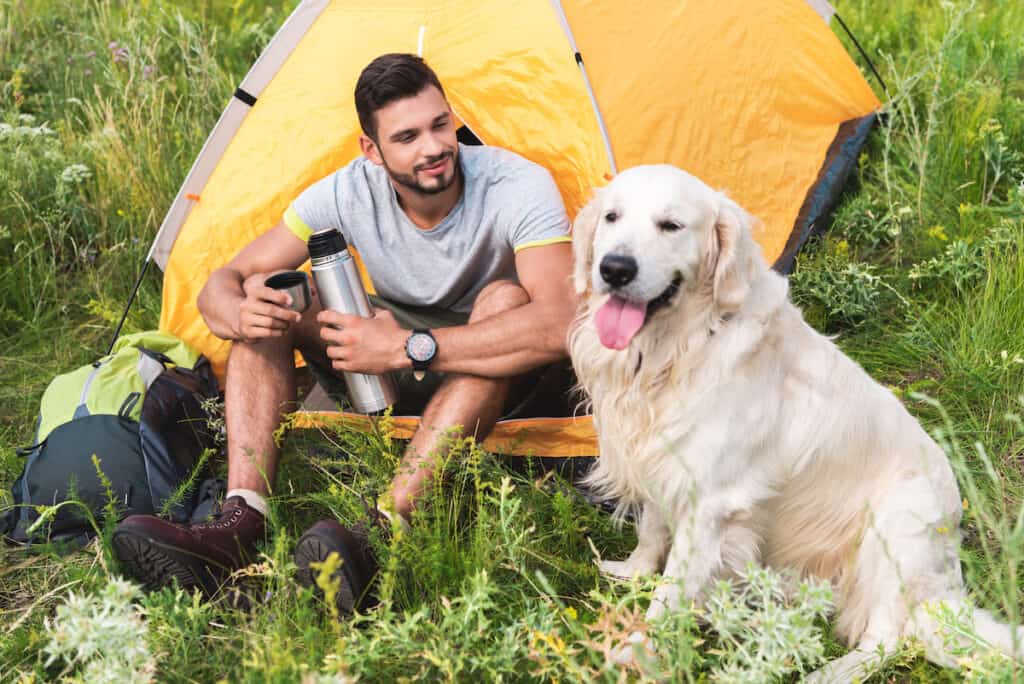 Camping with dogs