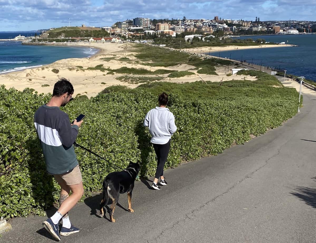 Nobbys Dog Walk Newcastle