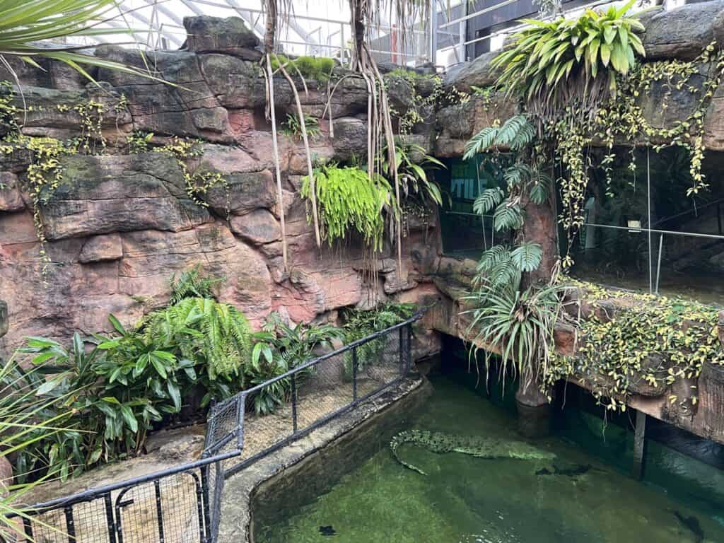 WILD LIFE Sydney Zoo Darling Harbour