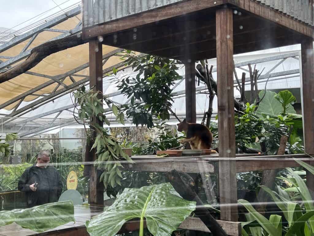 WILD LIFE Sydney Zoo Darling Harbour