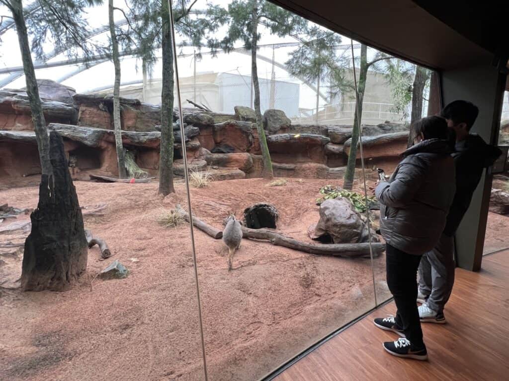 Sydney Zoo Darling Harbour