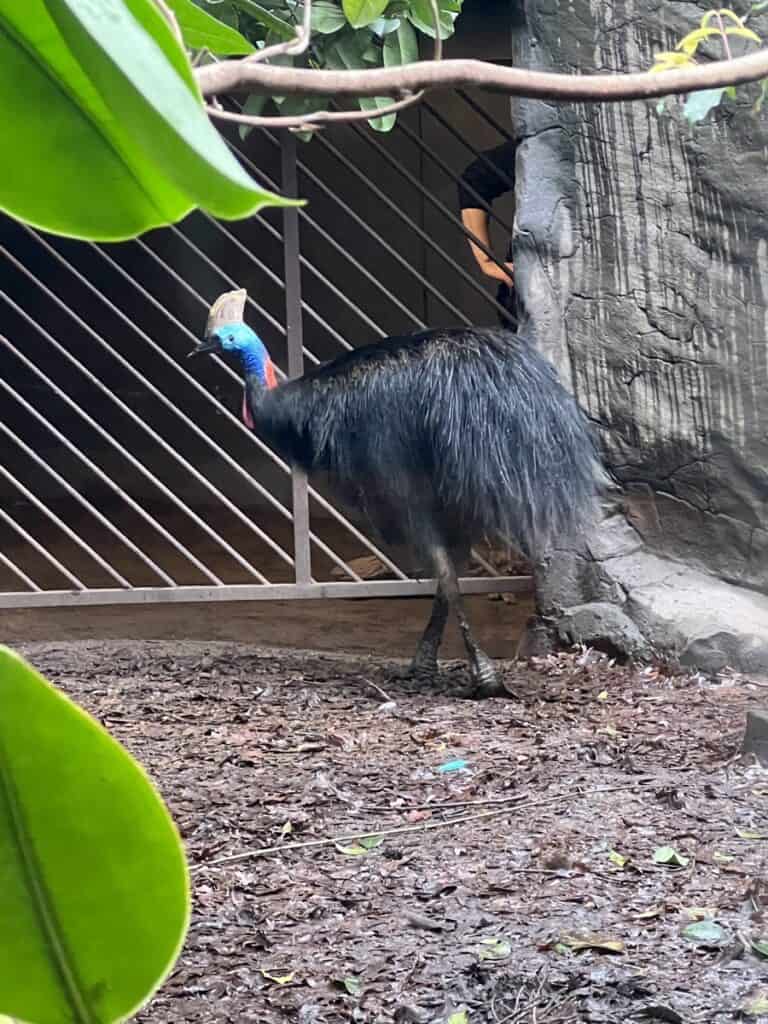 WILD LIFE Sydney Zoo Darling Harbour