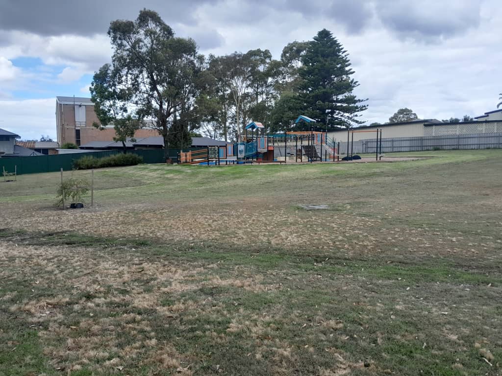 Climb, Bounce, Spin, Slide & Balance at McCauley Park in Tarro Newy