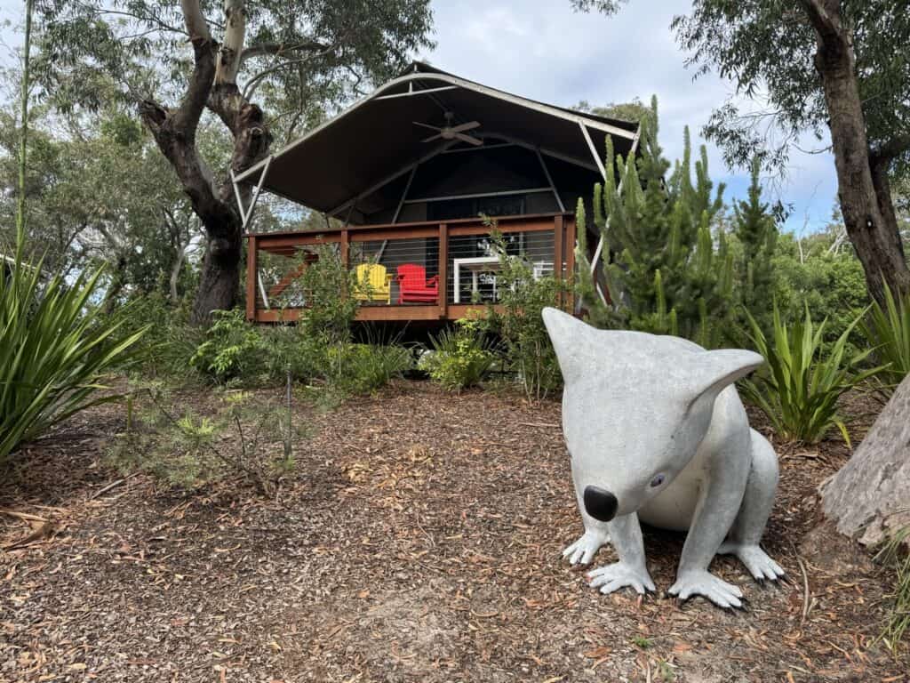 port stephens koala accommodation