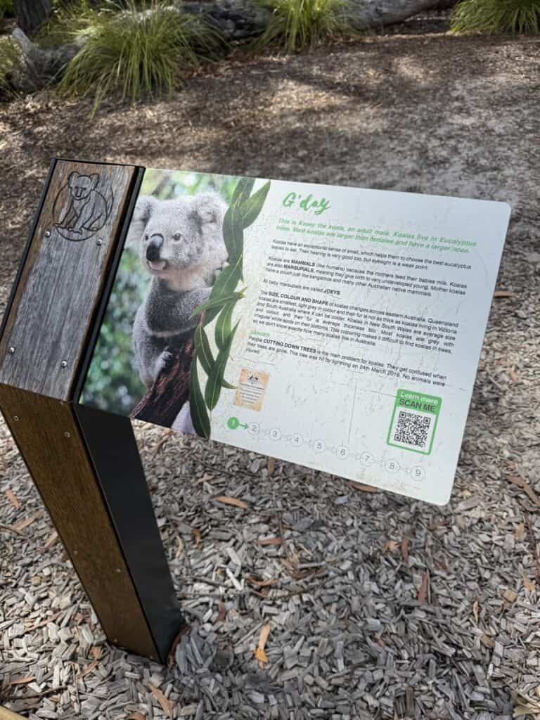 port stephens koala sanctuary