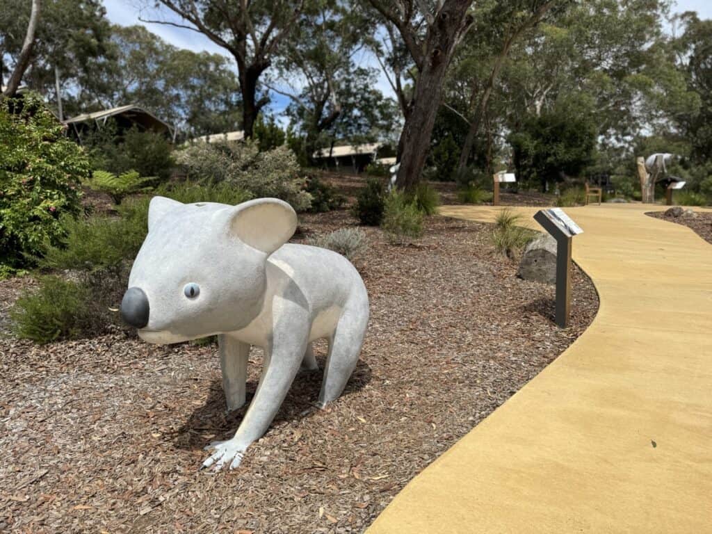 port stephens koalas