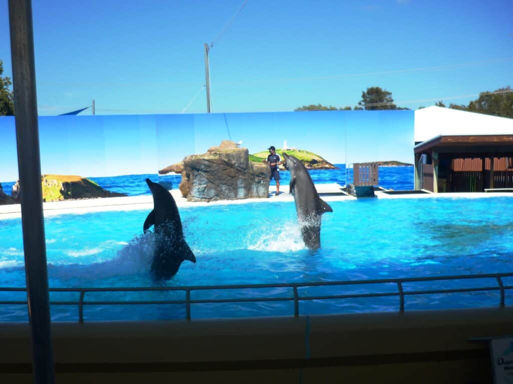 what to do in coffs harbour