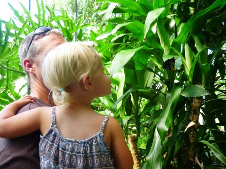 Coffs Harbour Family Fun: Beaches, Attractions & Free Fun - Newy with Kids