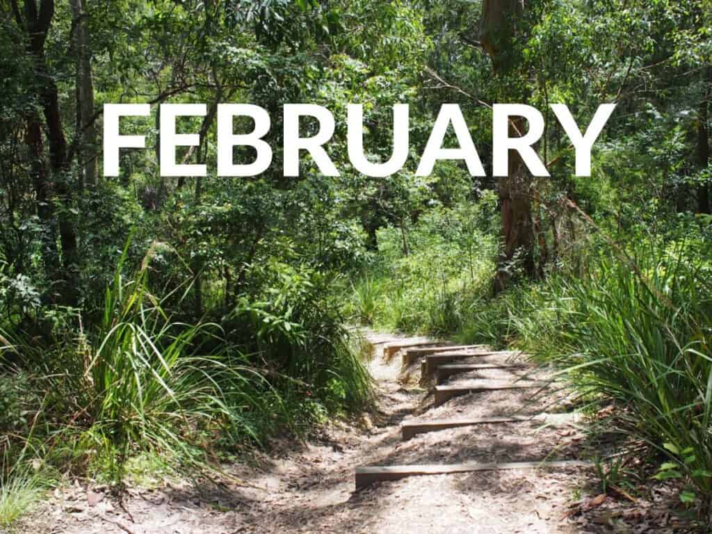 What's on in February newcastle