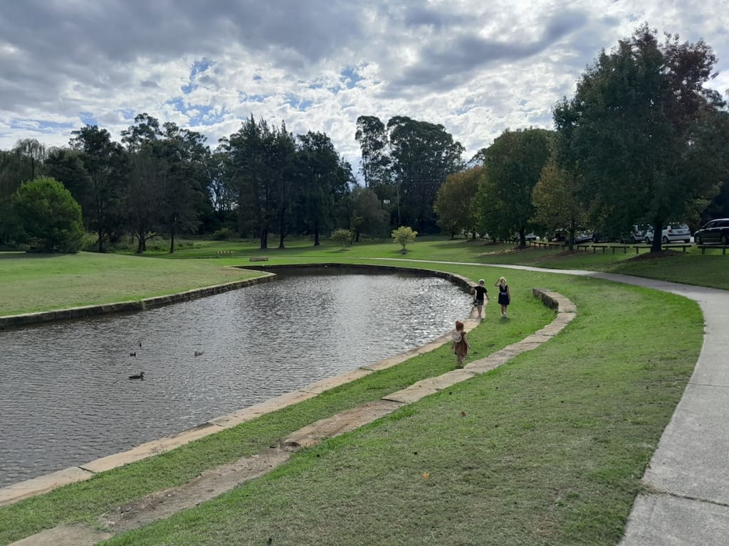Maybury Peace Park cessnock walk
