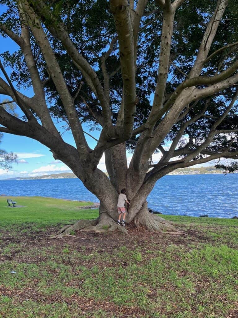 Bolton Point Park Lake Macquarie