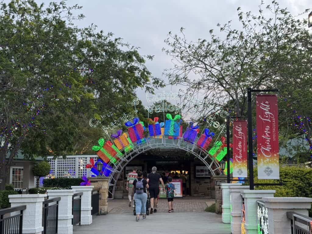 Christmas lights review