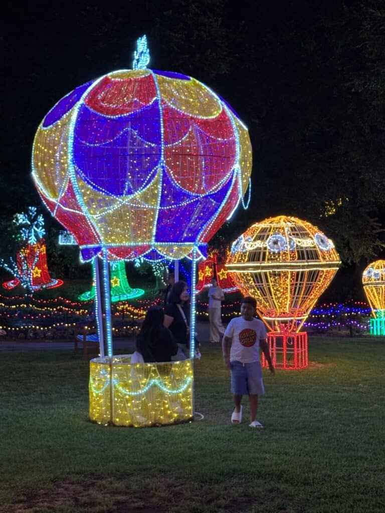 Christmas lights review