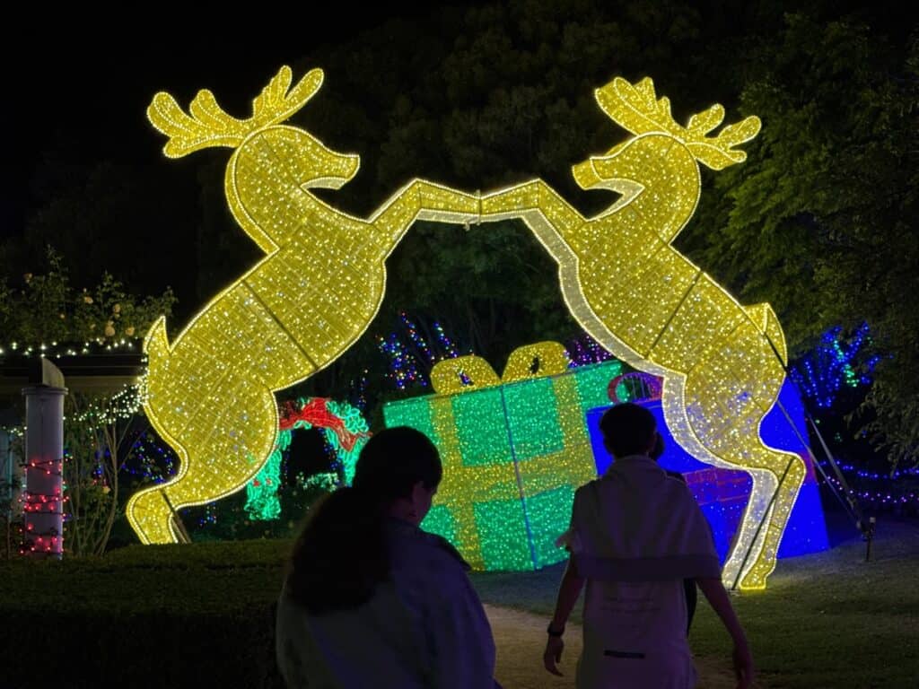 hunter valley gardens Christmas lights review