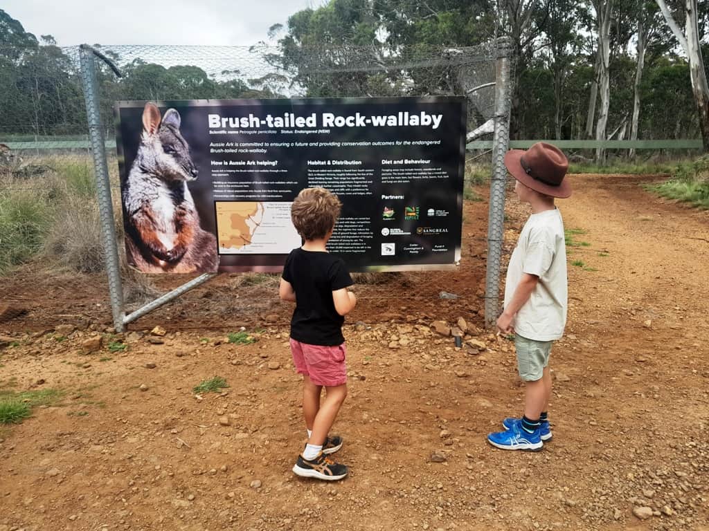Aussie Ark Tasmanian Devils