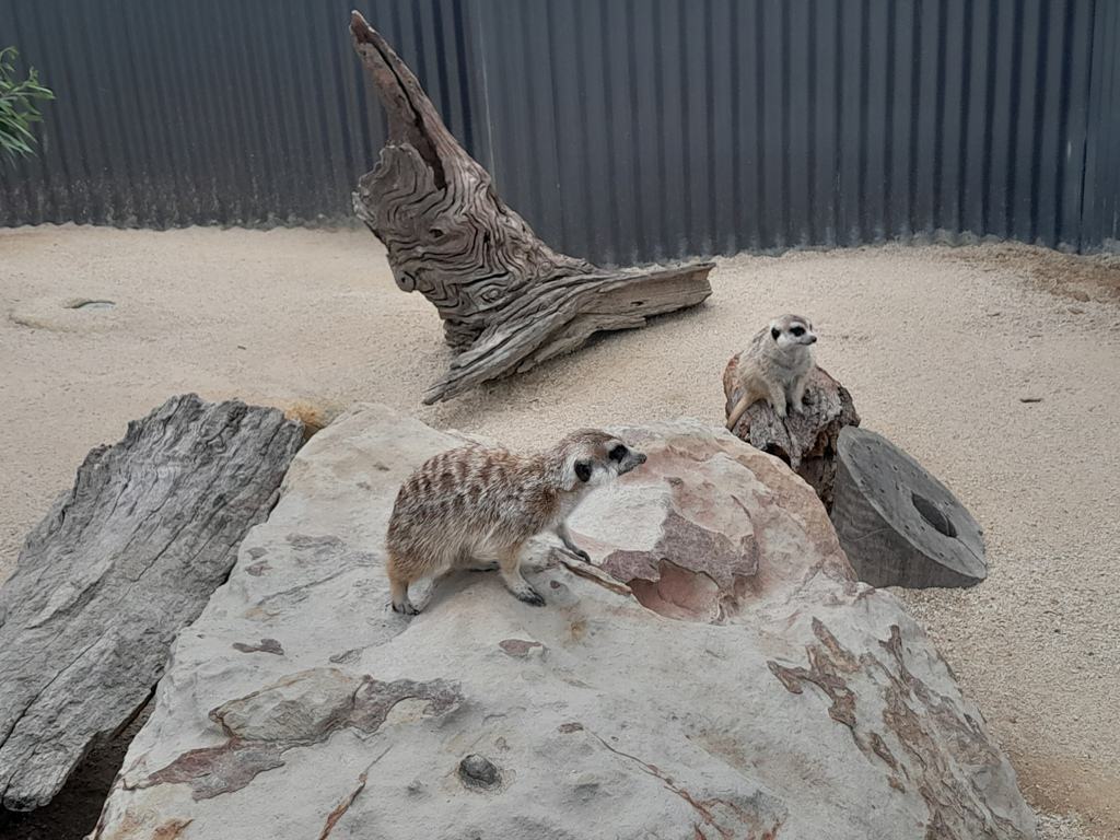 hunter valley attraction