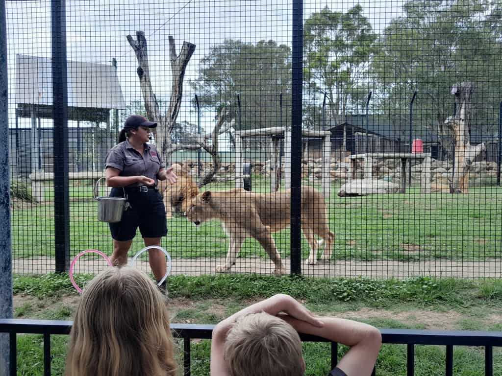 Hunter Valley Wildlife Park
