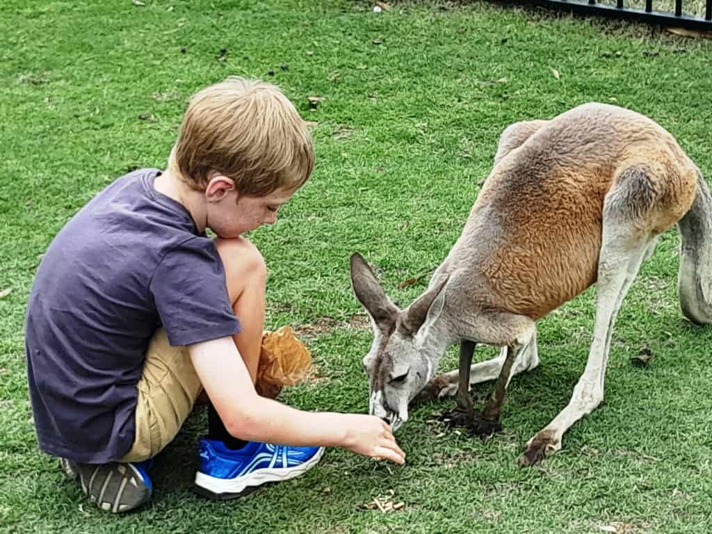 Hunter Valley Wildlife Park