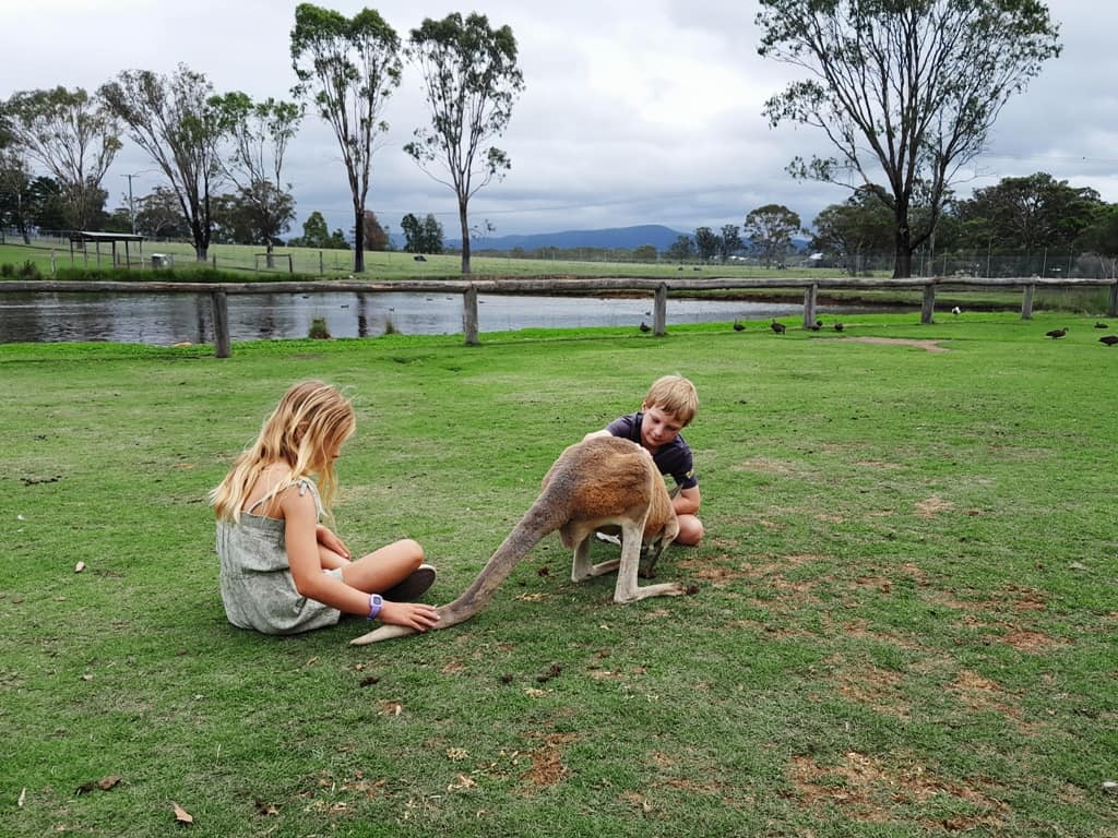 Hunter Valley Wildlife Park