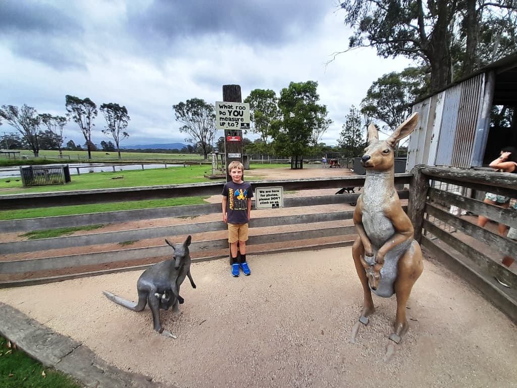 Hunter Valley Wildlife Park