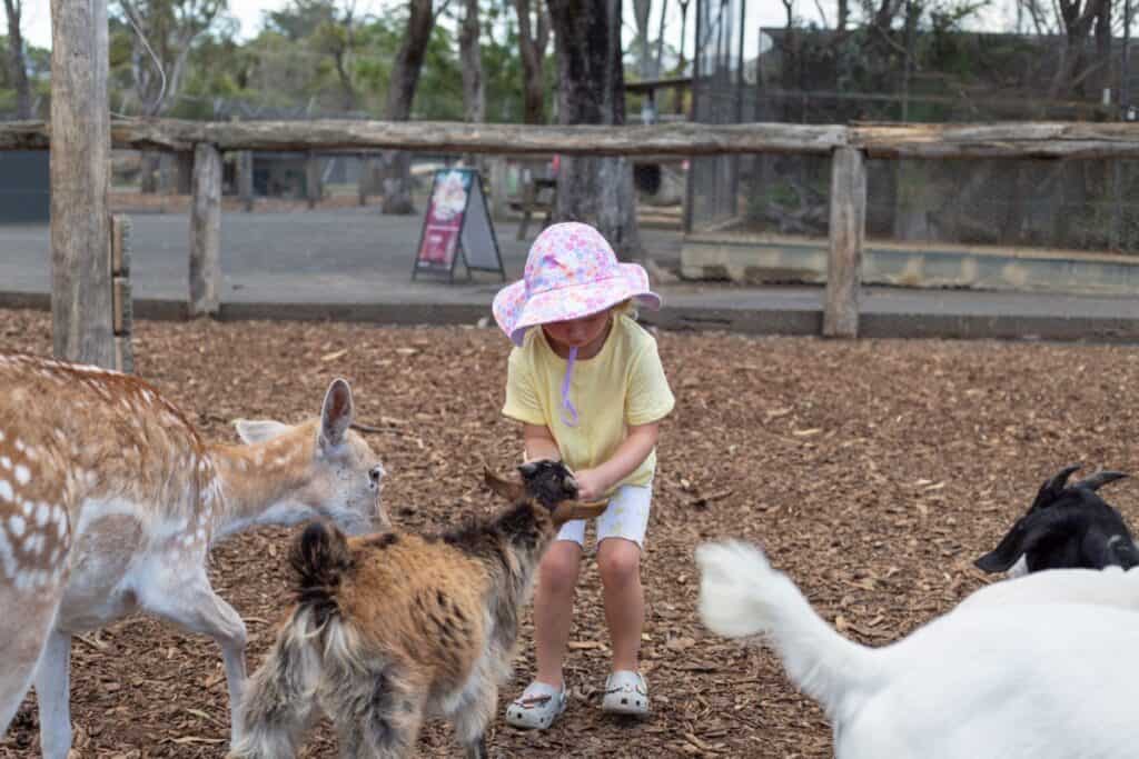 hunter valley wildlife park kids