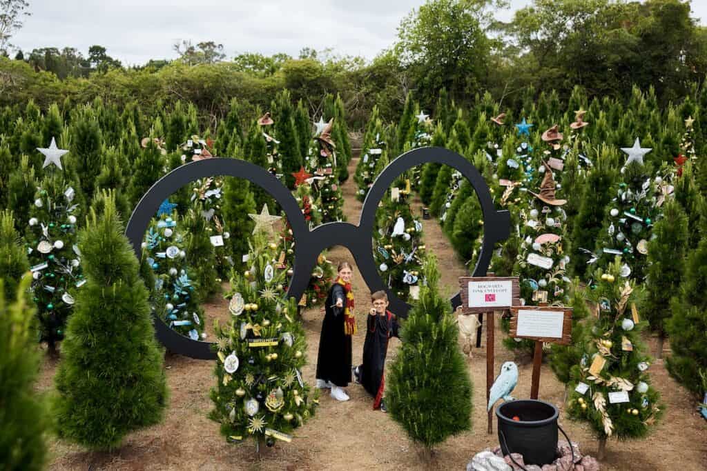 Harry Potter trees Sydney
