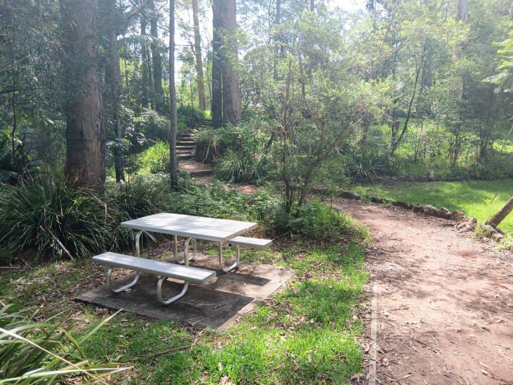 Cooranbong park