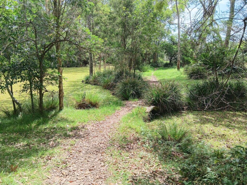 Cooranbong park