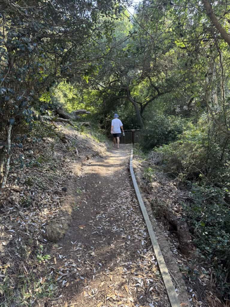 Tomaree Coastal Walk Slot Canyon