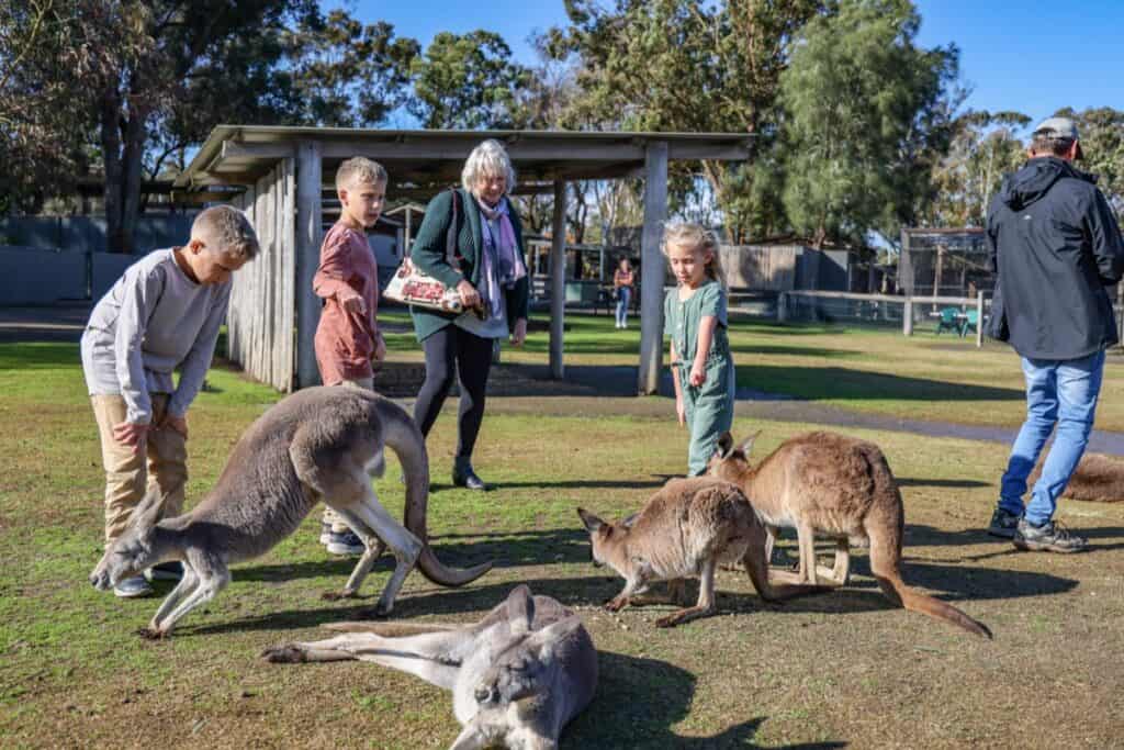 Hunter Valley Wildlife Park easter
