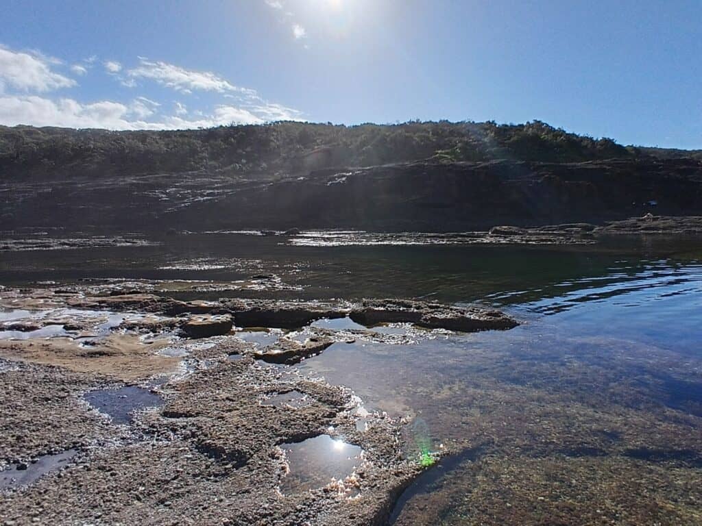 catherine hill bay walk